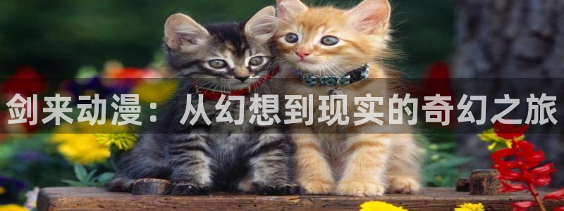 天上天下樱花动漫：剑来动漫：从幻想到现实的奇幻之旅